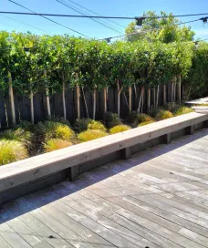 Outdoor wooden deck sorrounded by tidy shrubs and trimmed trees