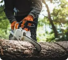 Chainsaw services