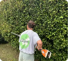 Hedge trimming