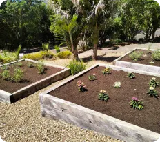 Pathways and raised beds