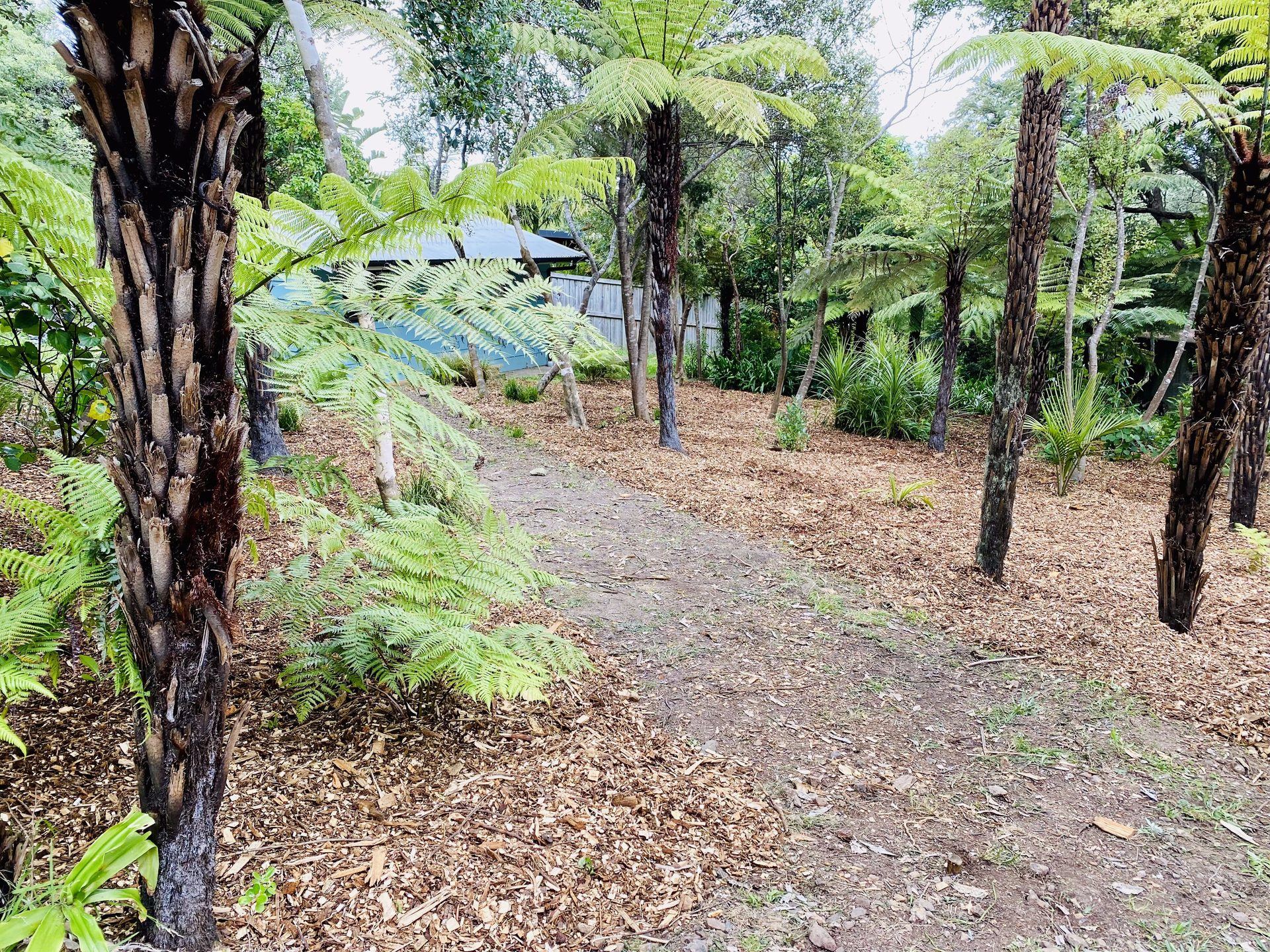 Garden restored after