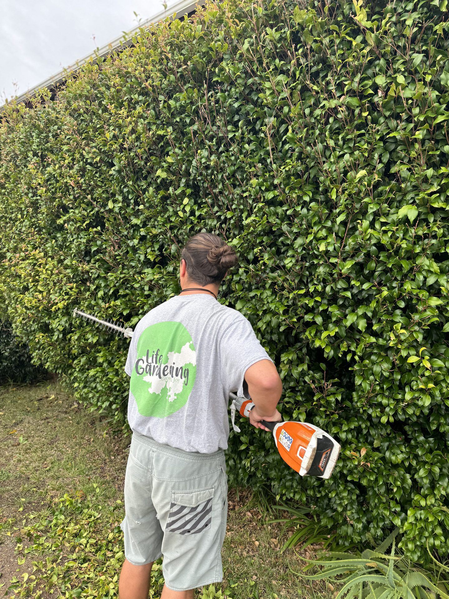 Hedge trimming