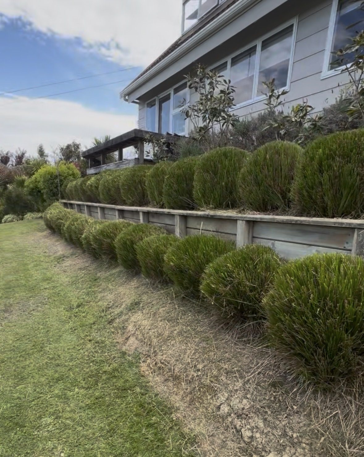 Transformed garden after