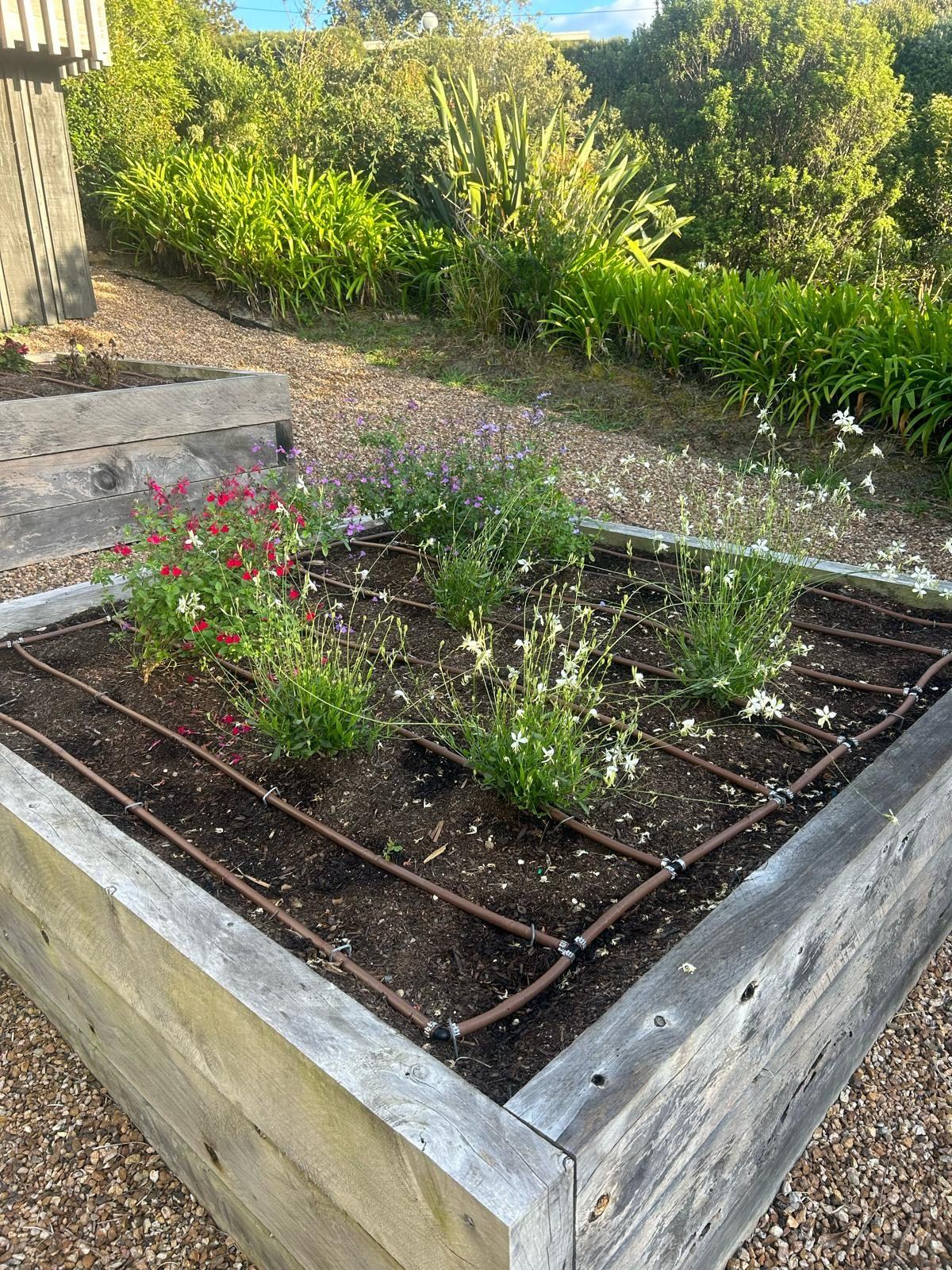 Pathways and raised beds